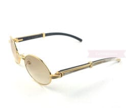 cartier-double-color-horn-classic-full-frame-sunglasses-ct7550178-55-1