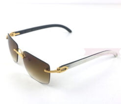 cartier-double-color-horn-classic-rimless-sunglasses-ct3524012-2