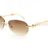 cartier-c-decor-horn-classic-rimless-sunglasses-ct3524016