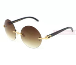 cartier-horn-circle-lens-retro-sunglasses-ct3524012-9