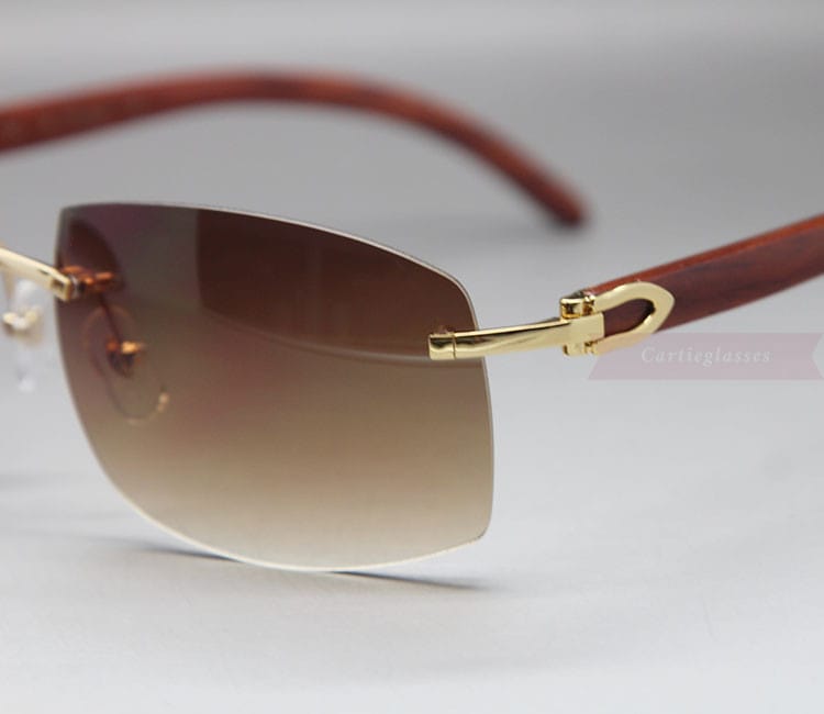 cartier-wooden-big-lenses-sunglasses-classic-rimless-ct3524012-11