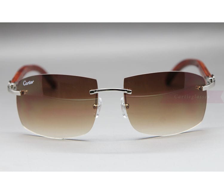 cartier-wooden-big-lenses-sunglasses-classic-rimless-ct3524012-2