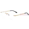 Cartier Real Gold Plating Titanium Santos De Rimless Eyeglasses CT0254 (4)1