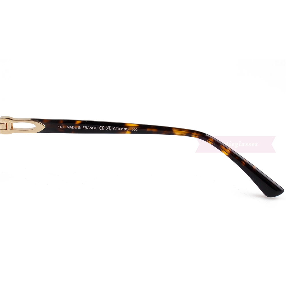 Cartier C Decor Acetate Titanium Rimless Eyeglasses CT0318 (7)