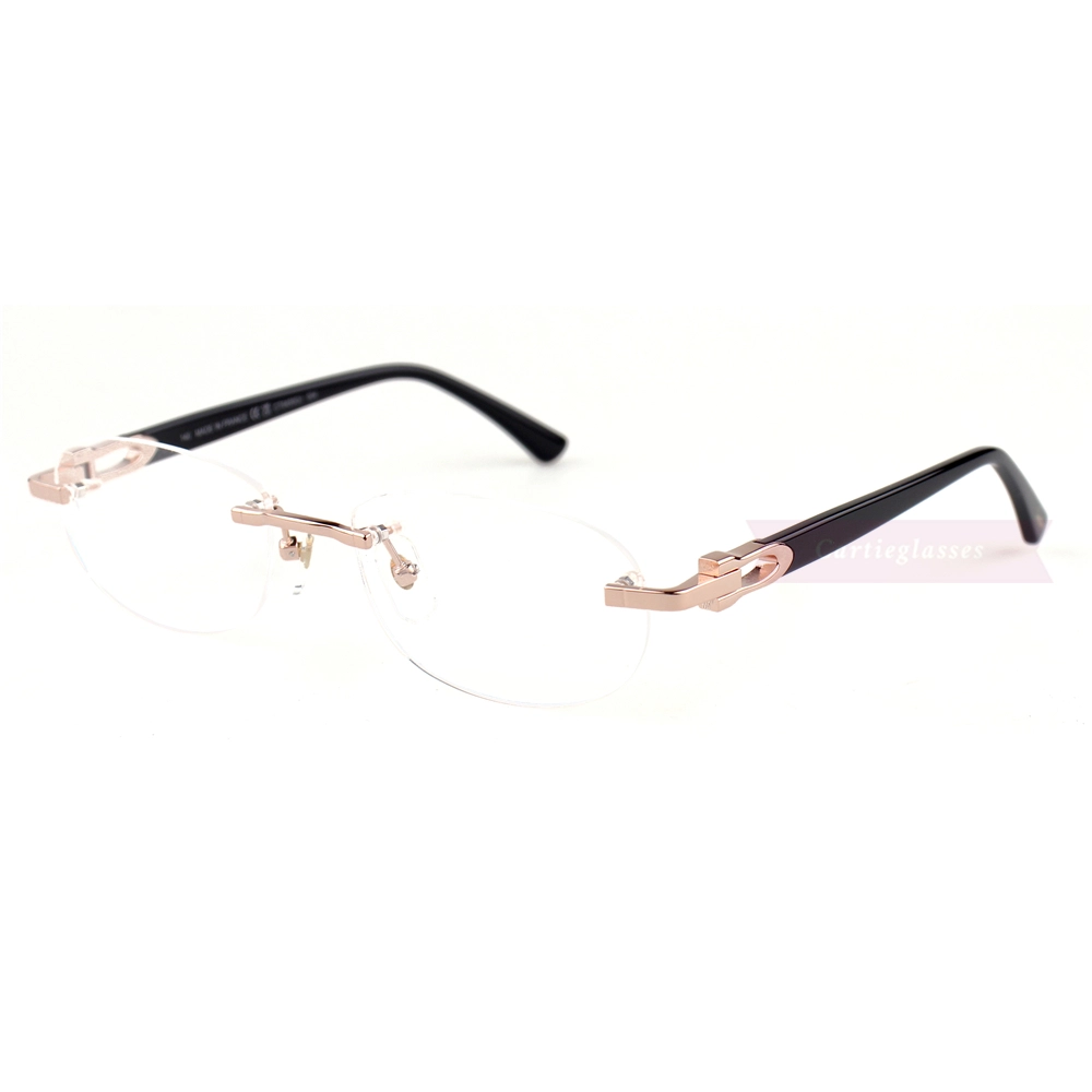 Cartier C Decor Acetate Titanium Rimless Eyeglasses CT0455 (11)