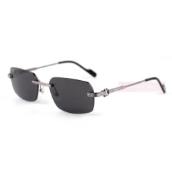 Cartier C Decor Acetate Titanium Rimless Sunglasses CT0271 (4)