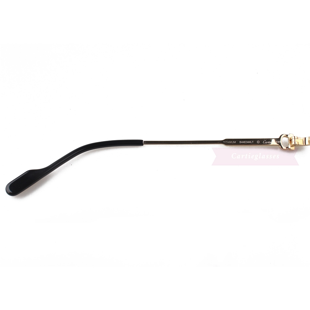 Cartier C Decor Titanium Acetate Full Frame Eyeglasses CT0314 (9)