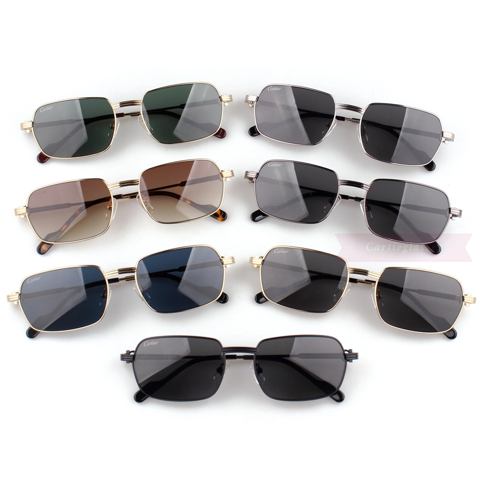 Cartier C Decor Titanium Acetate Full Frame Sunglasses CT0463 (1)