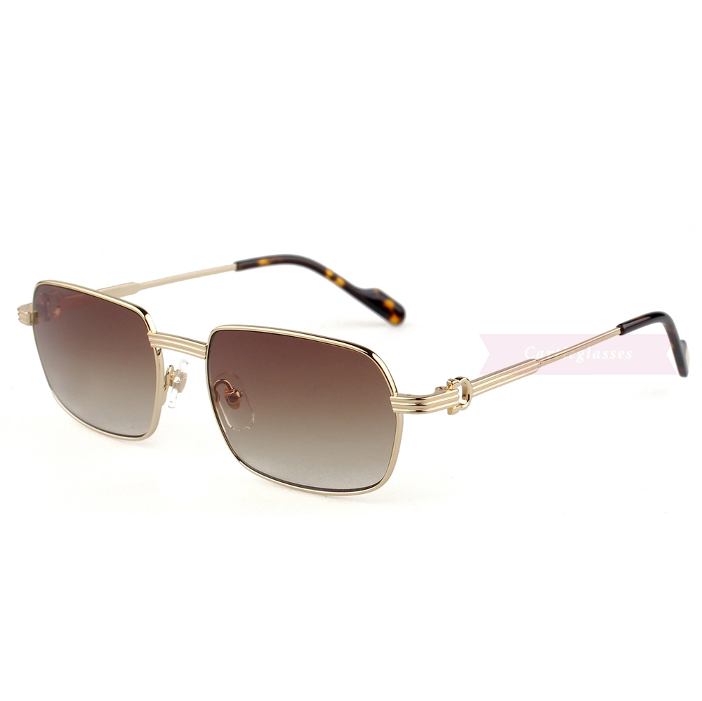 Cartier C Decor Titanium Acetate Full Frame Sunglasses CT0463 (5)