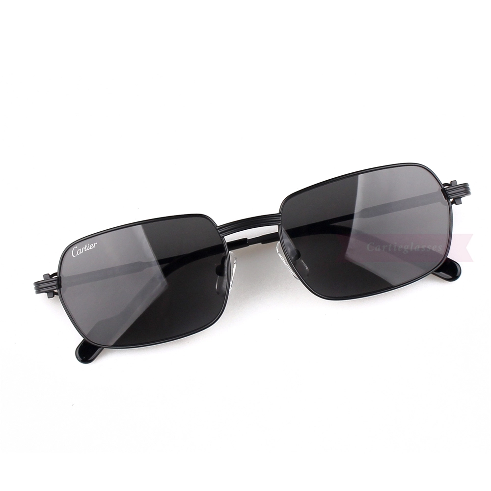 Cartier C Decor Titanium Acetate Full Frame Sunglasses CT0463 (7)