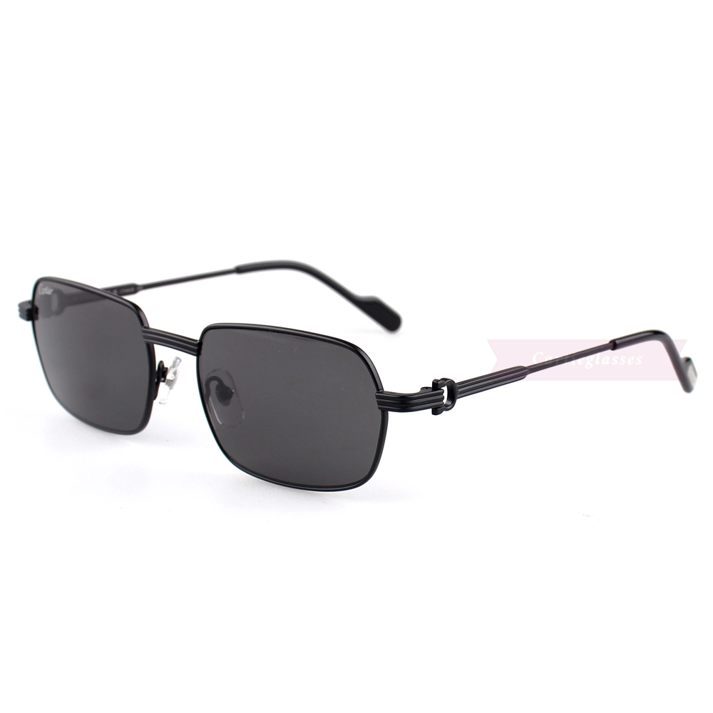 Cartier C Decor Titanium Acetate Full Frame Sunglasses CT0463 (8)