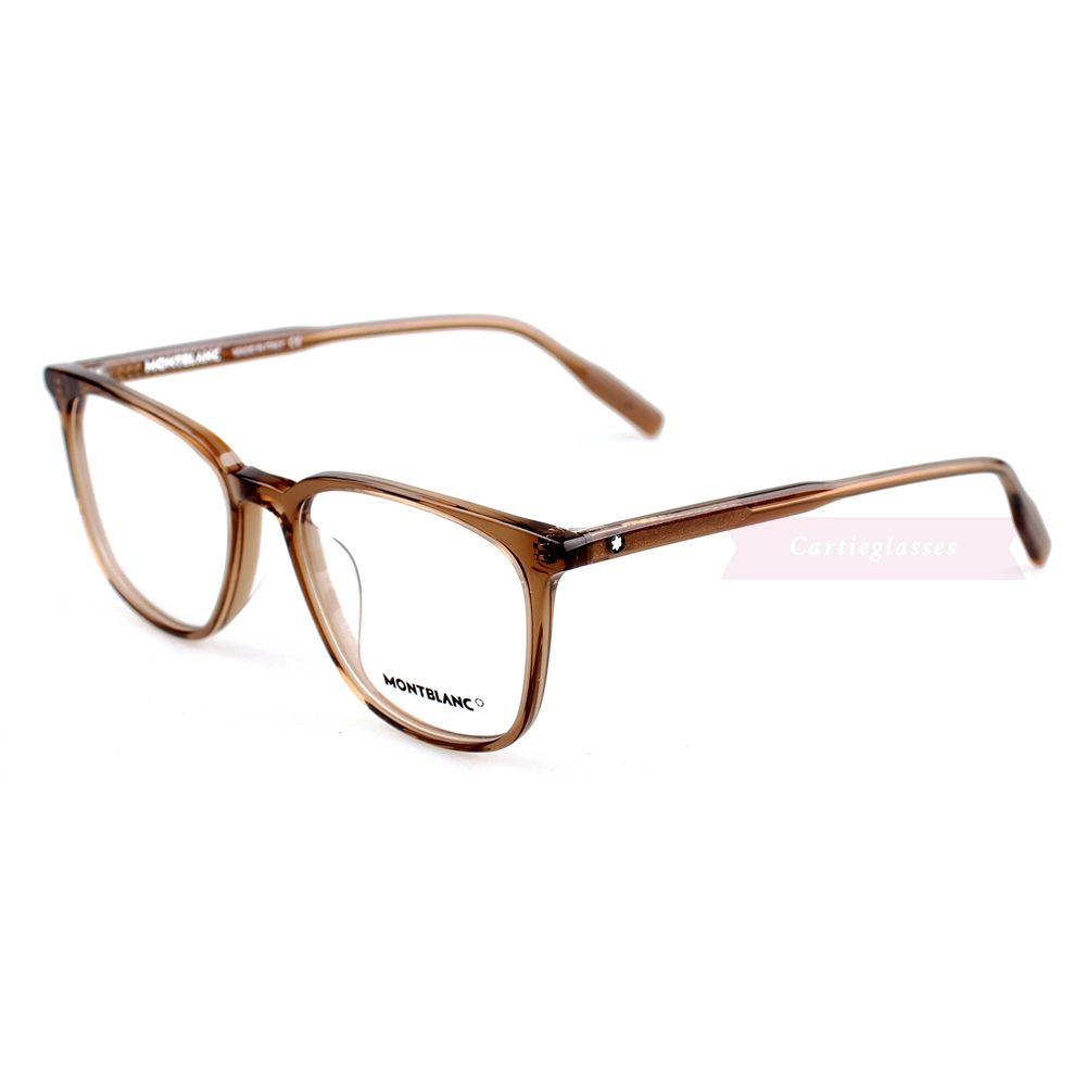 Montblanc Snowcap Emblem Acetate Full Frame Eyeglasses MB0089 (16)