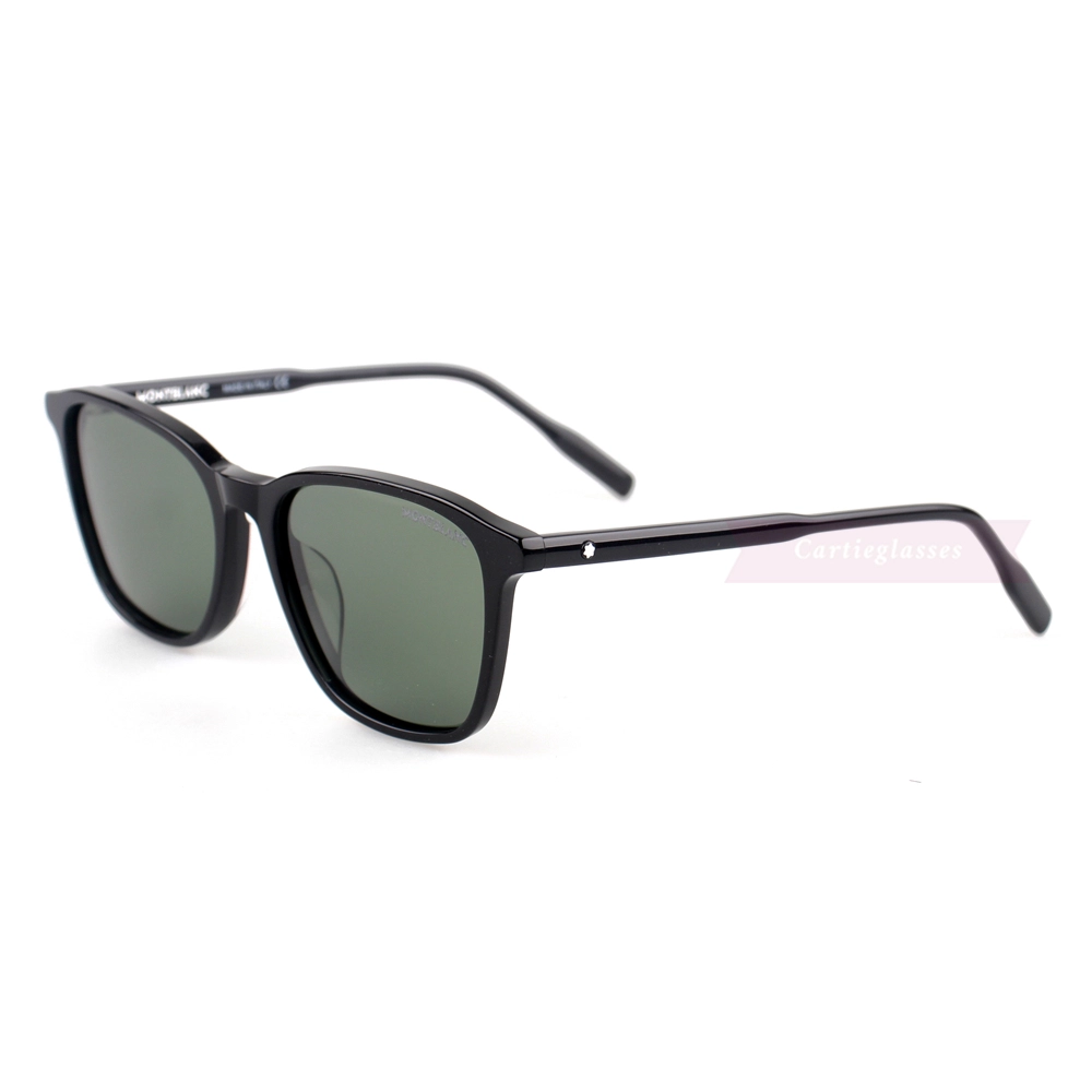 Montblanc Snowcap Emblem Acetate Full Frame Sunglasses MB0082 (3)