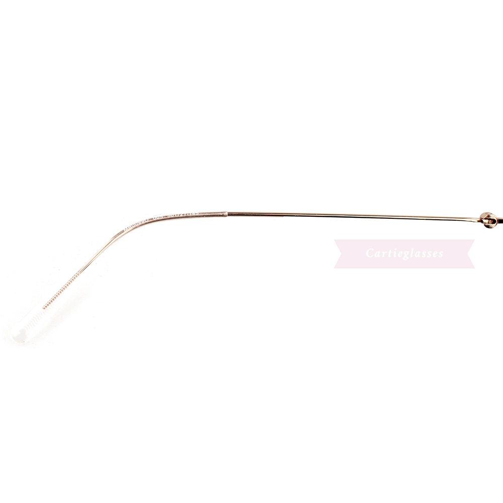 Montblanc Snowcap Emblem Acetate Metal Full Frame Eyeglasses MB0099 (10)