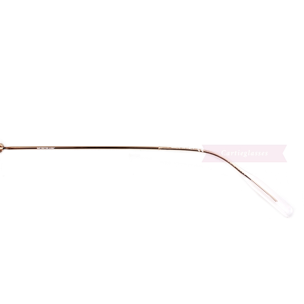 Montblanc Snowcap Emblem Acetate Metal Full Frame Eyeglasses MB0099 (9)