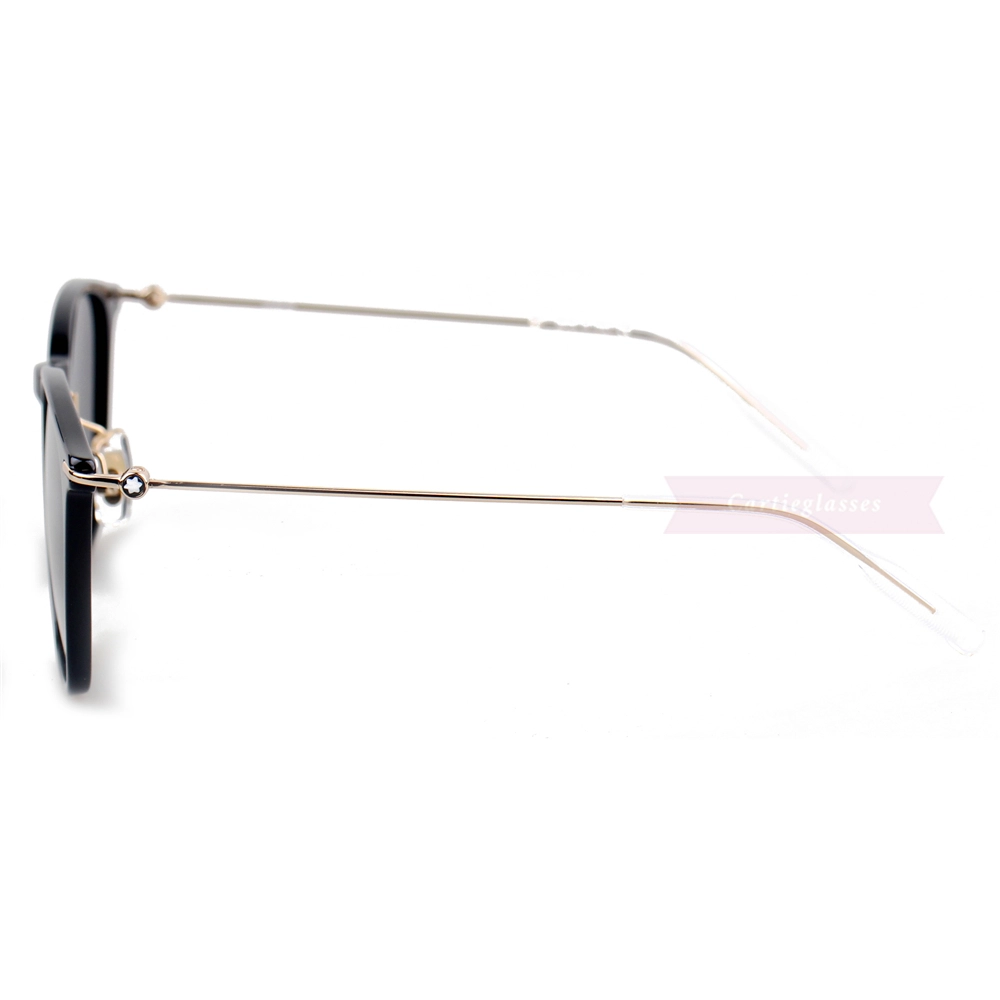 Montblanc Snowcap Emblem Acetate Metal Full Frame Sunglasses MB0098S (7)