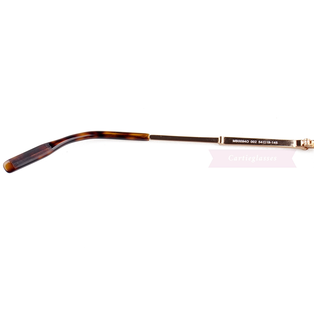 Montblanc Snowcap Emblem Metal Full Frame Eyeglasses MB0094 (8)