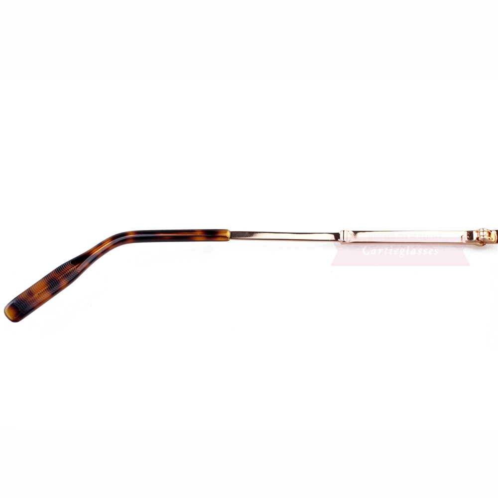 Montblanc Snowcap Emblem Metal Full Frame Eyeglasses MB0095 (8)
