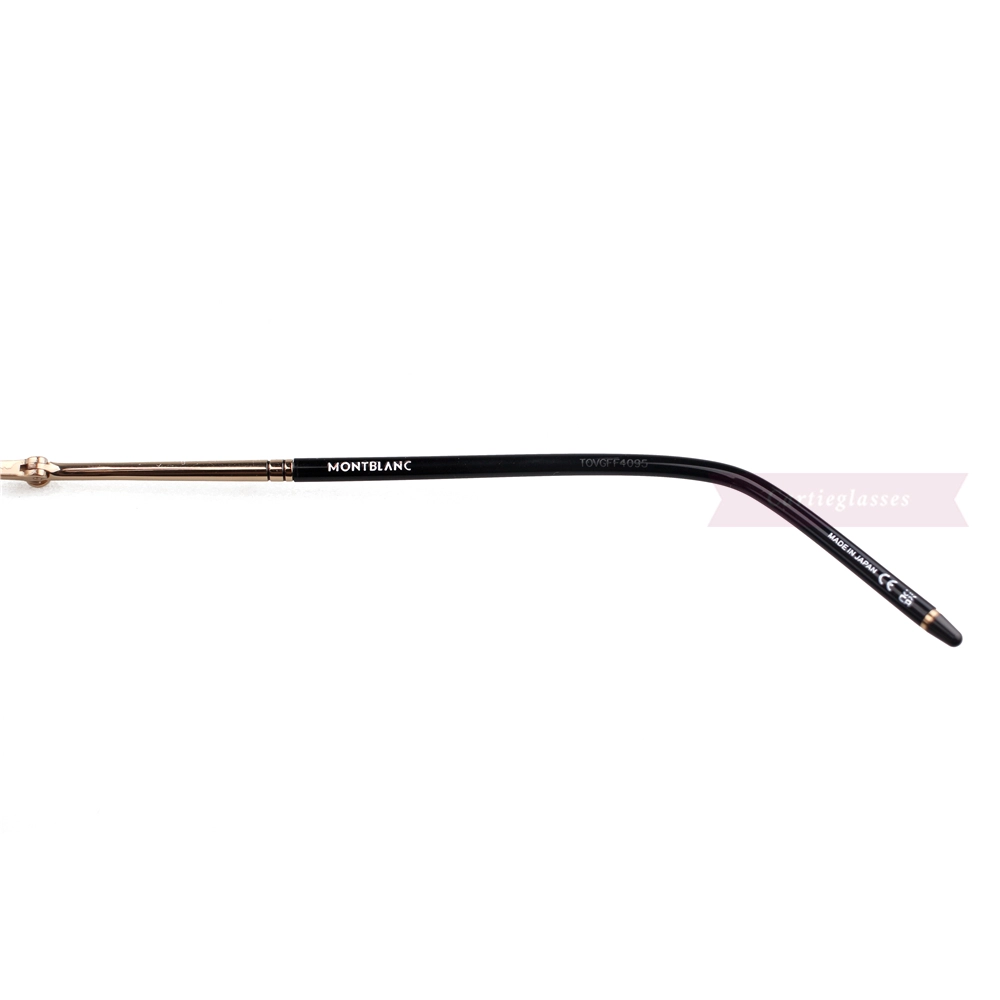 Montblanc Snowcap Emblem Titanium Rimless Eyeglasses MB0071T (7)