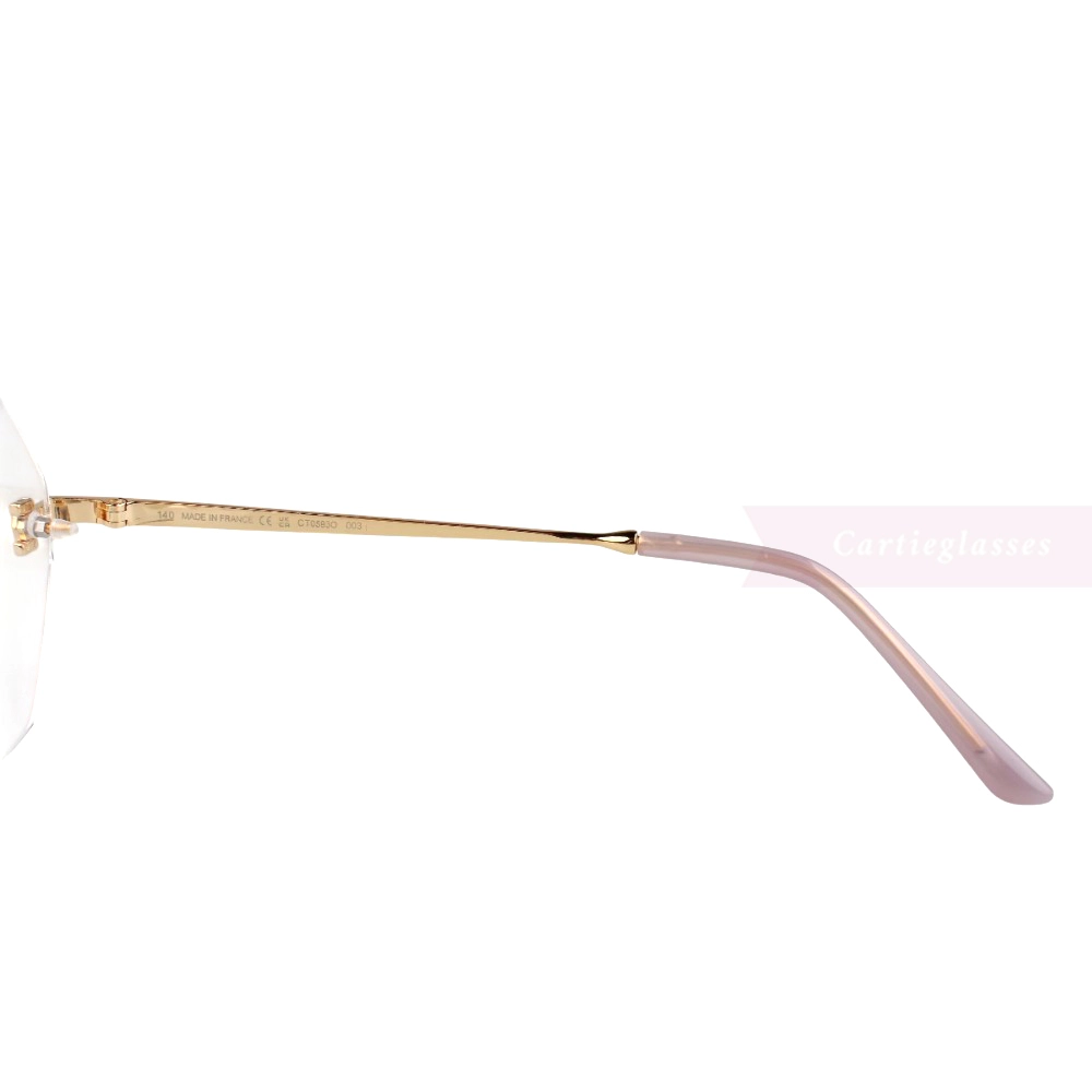 Cartier Icon Collection Titanium Geometric Rimless Eyeglasses CT0593O (7)