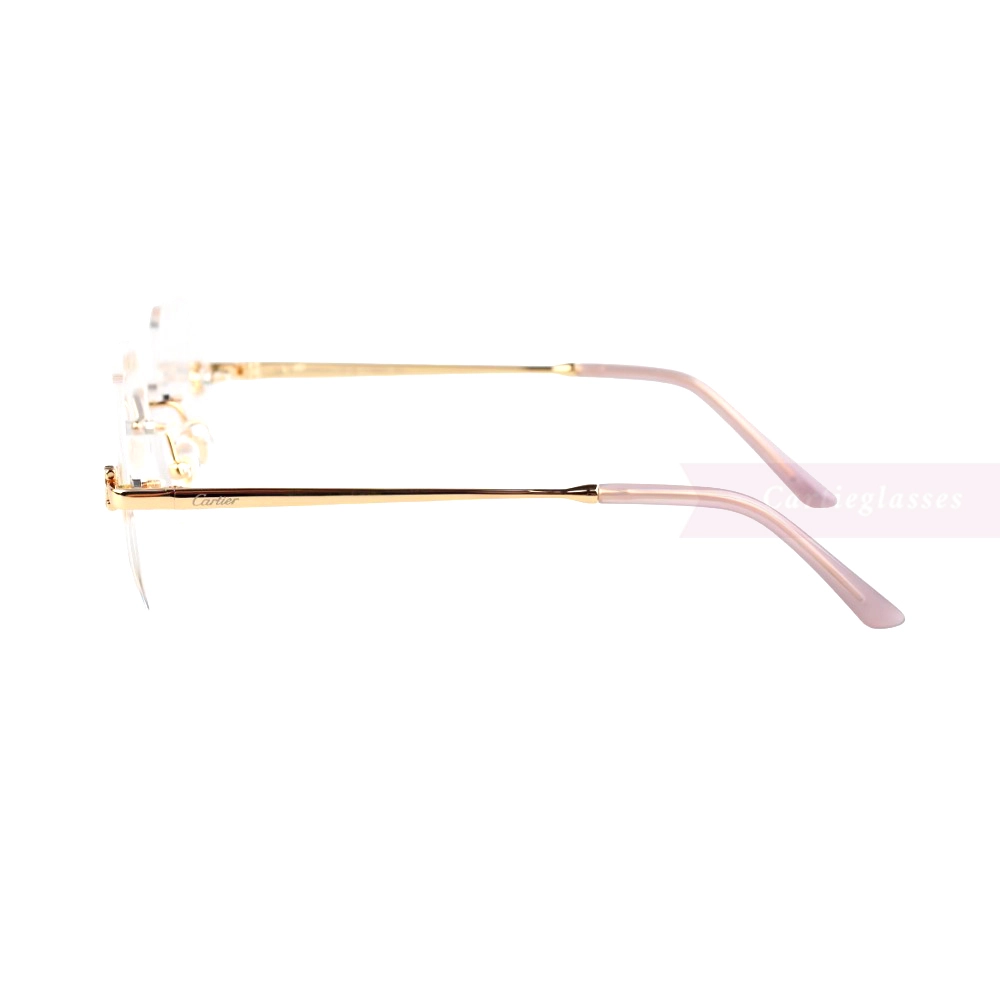 Cartier Icon Collection Titanium Geometric Rimless Eyeglasses CT0593O (9)