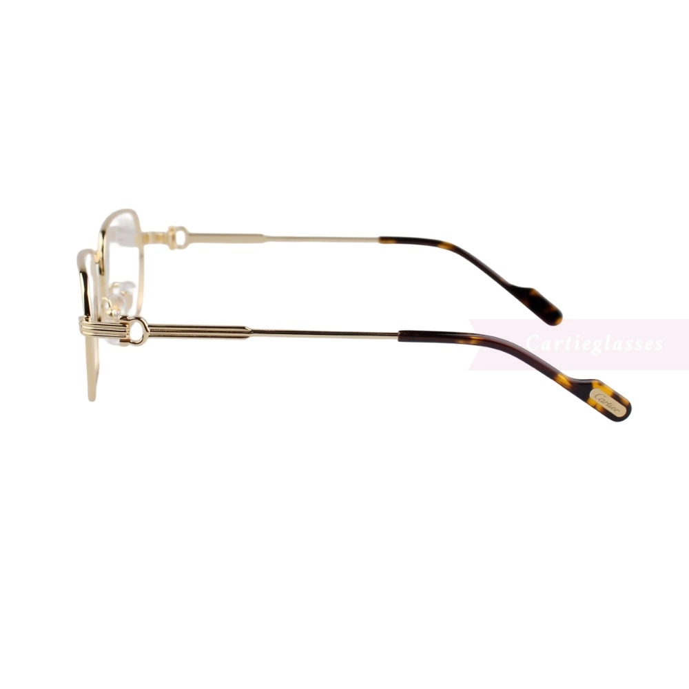 Cartier Première De Rectangle Titanium Full Frame Eyeglasses CT0483O (11)