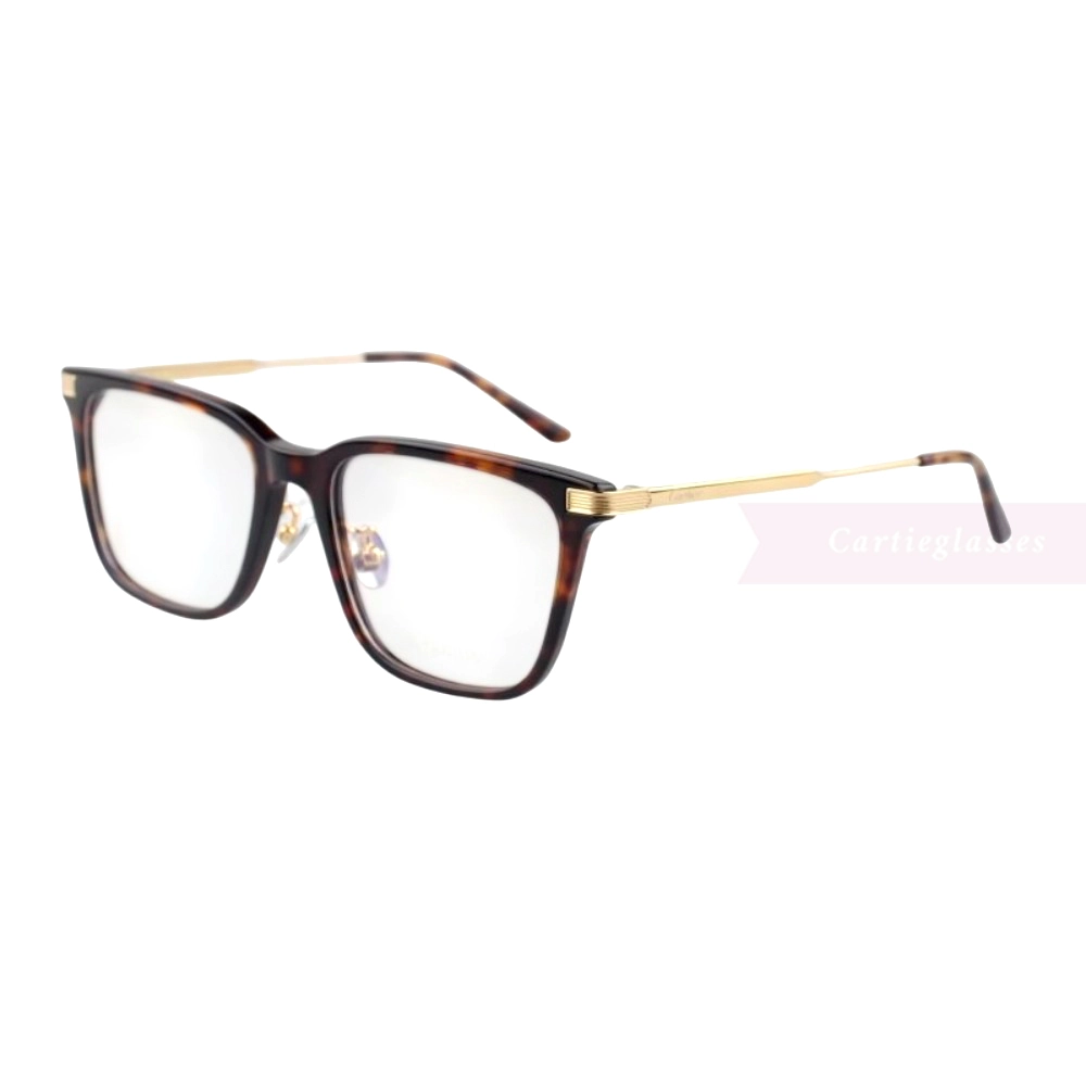 Cartier Première De Titanium Full Frame Eyeglasses CT0384 (10)