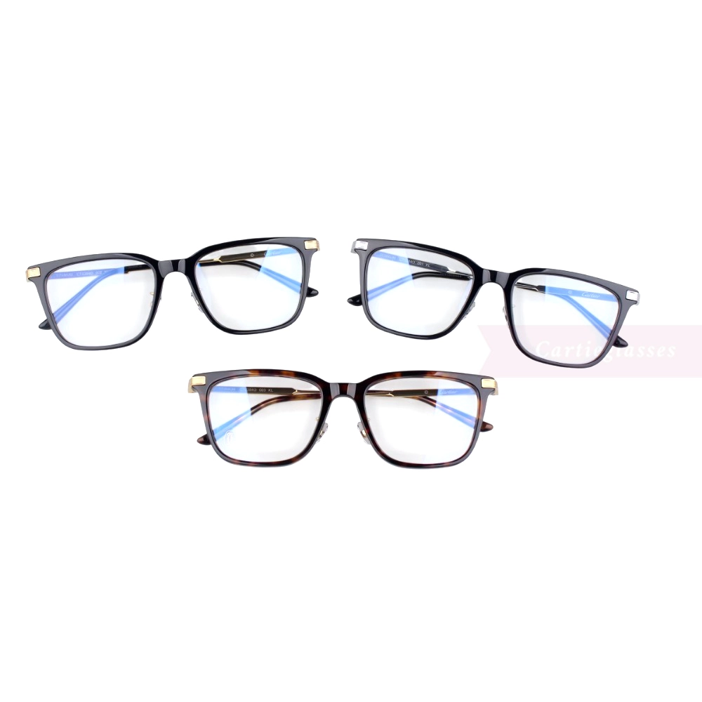 Cartier Première De Titanium Full Frame Eyeglasses CT0384 (9)