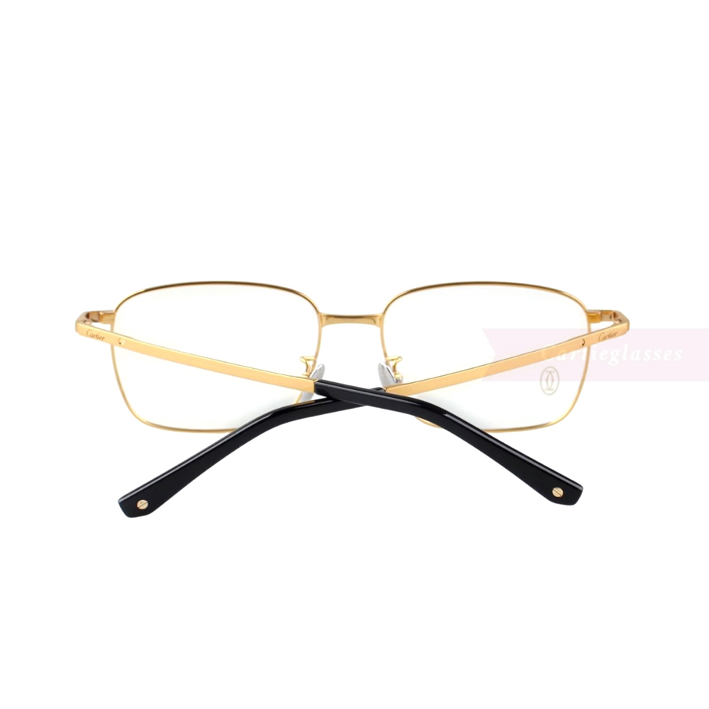 Cartier Santos De Double Bridge Titanium Full Frame Eyeglasses CT0320 (10)