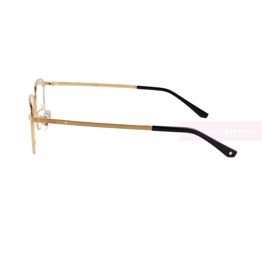Cartier Santos De Double Bridge Titanium Full Frame Eyeglasses CT0320 (11)
