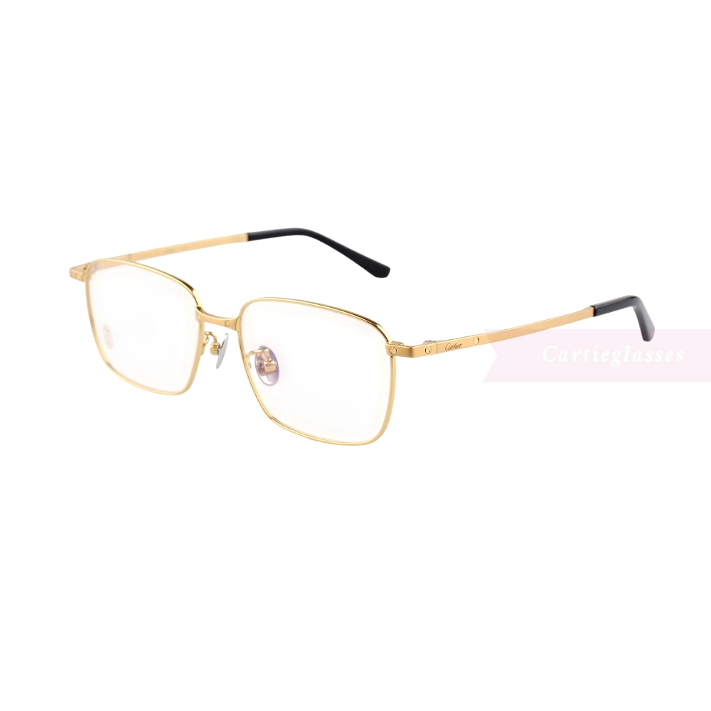 Cartier Santos De Double Bridge Titanium Full Frame Eyeglasses CT0320 (12)