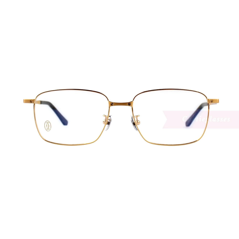 Cartier Santos De Double Bridge Titanium Full Frame Eyeglasses CT0320 (13)