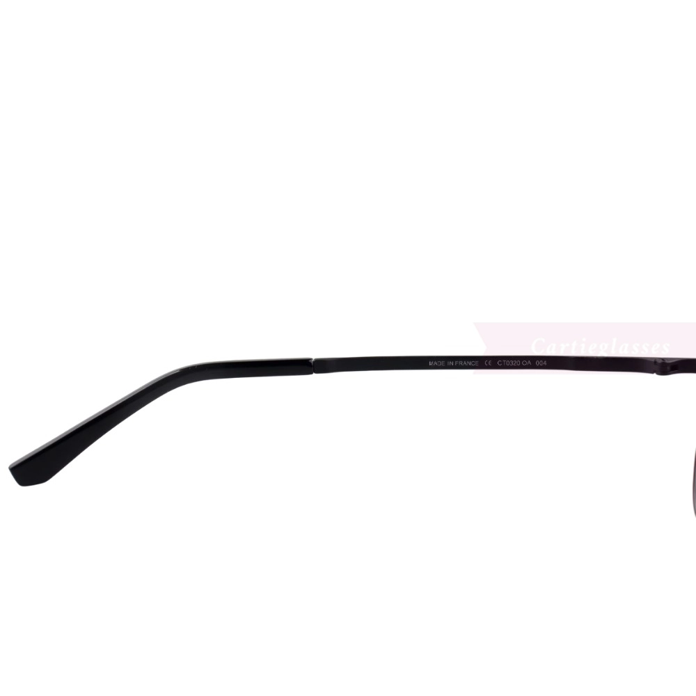 Cartier Santos De Double Bridge Titanium Full Frame Eyeglasses CT0320 (4)