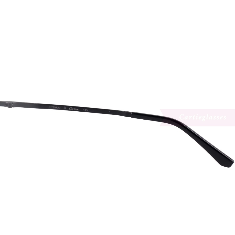 Cartier Santos De Double Bridge Titanium Full Frame Eyeglasses CT0320 (5)