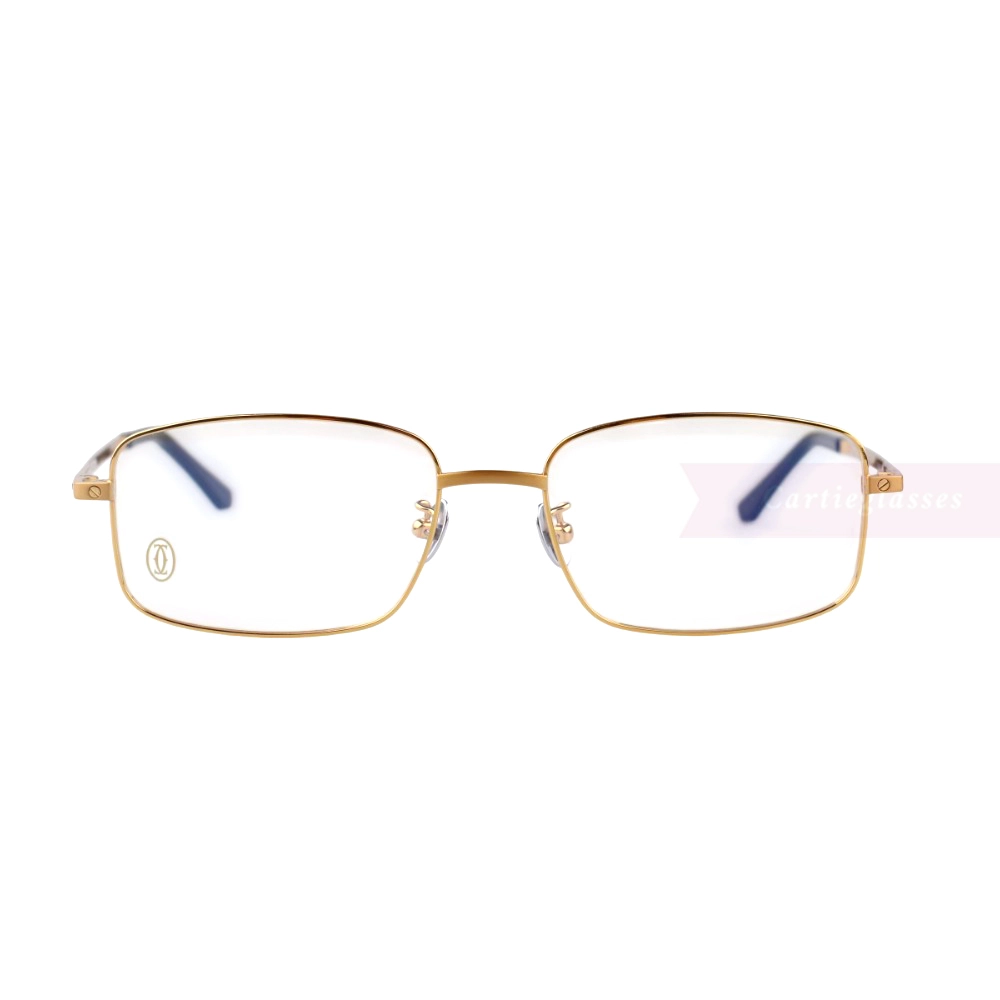 Cartier Santos De Full Frame Titanium Eyeglasses CT0576O (11)
