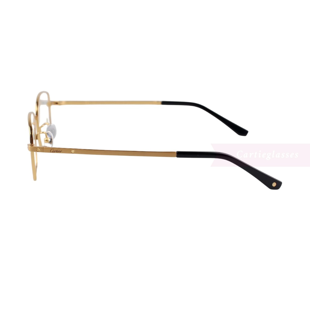 Cartier Santos De Full Frame Titanium Eyeglasses CT0576O (9)