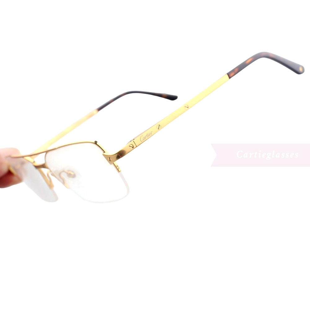 Cartier Santos De Titanium Double Bridge Half Frame Eyeglasses CT0308O (4)