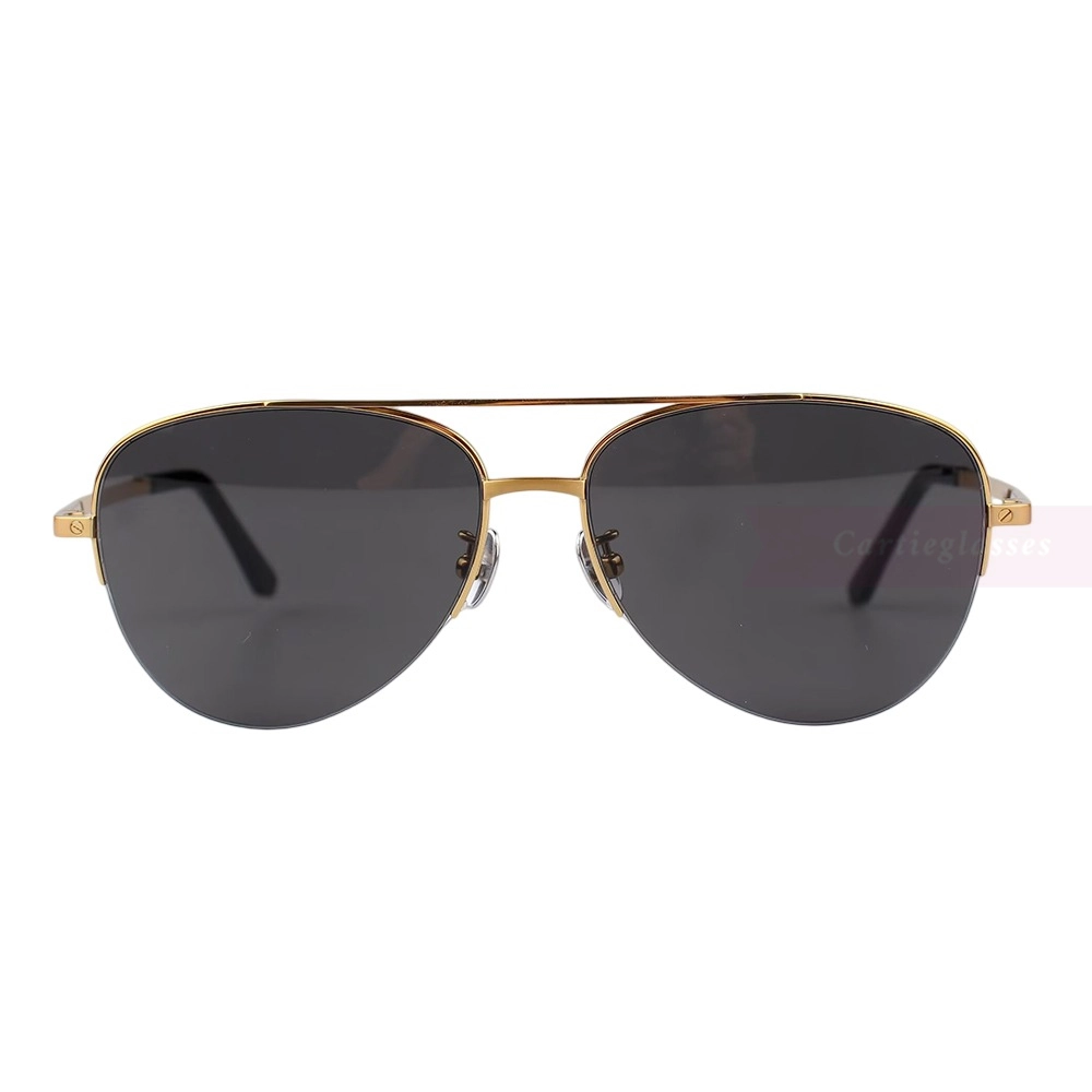 Cartier Santos De Titanium Pilot Double Bridge Half Frame Sunglasses CT0256O (3)