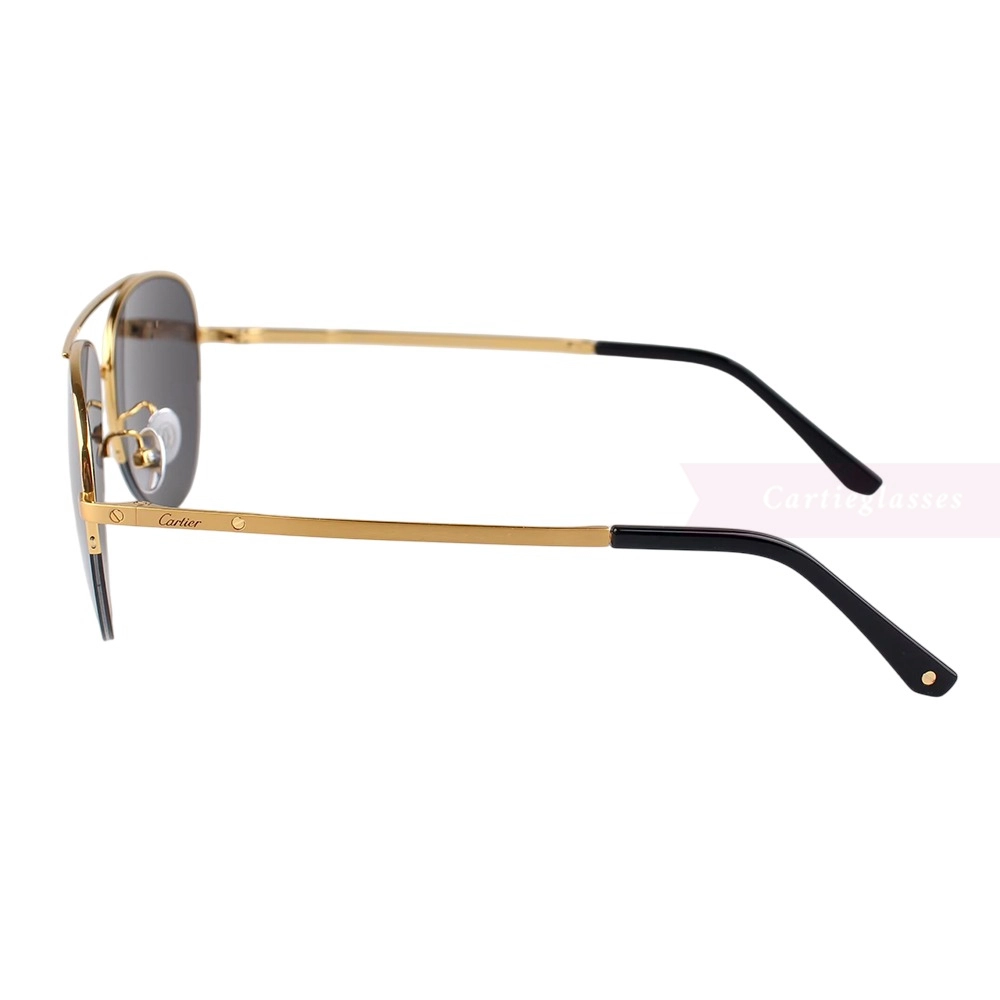 Cartier Santos De Titanium Pilot Double Bridge Half Frame Sunglasses CT0256O (5)