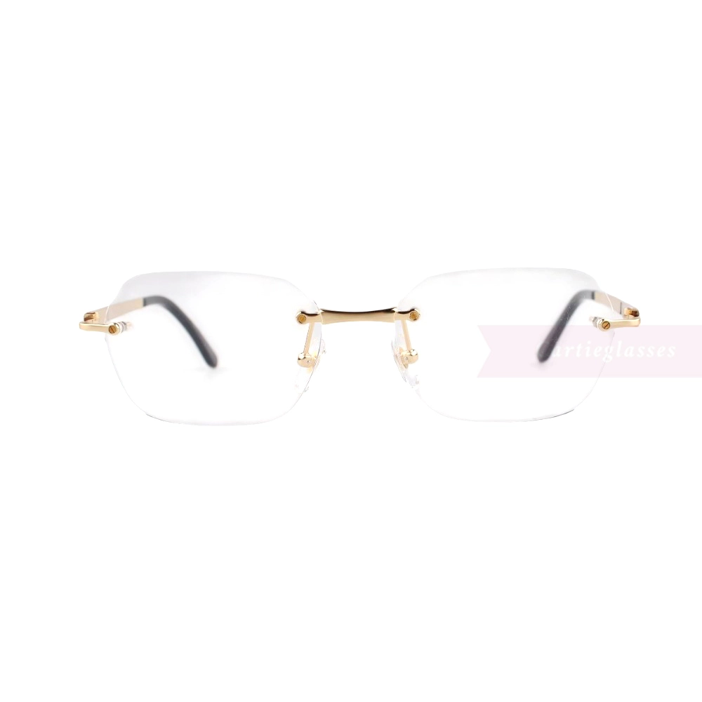 Cartier Santos De Wide Rectangle Titanium Rimless Eyeglasses CT0407O (10)