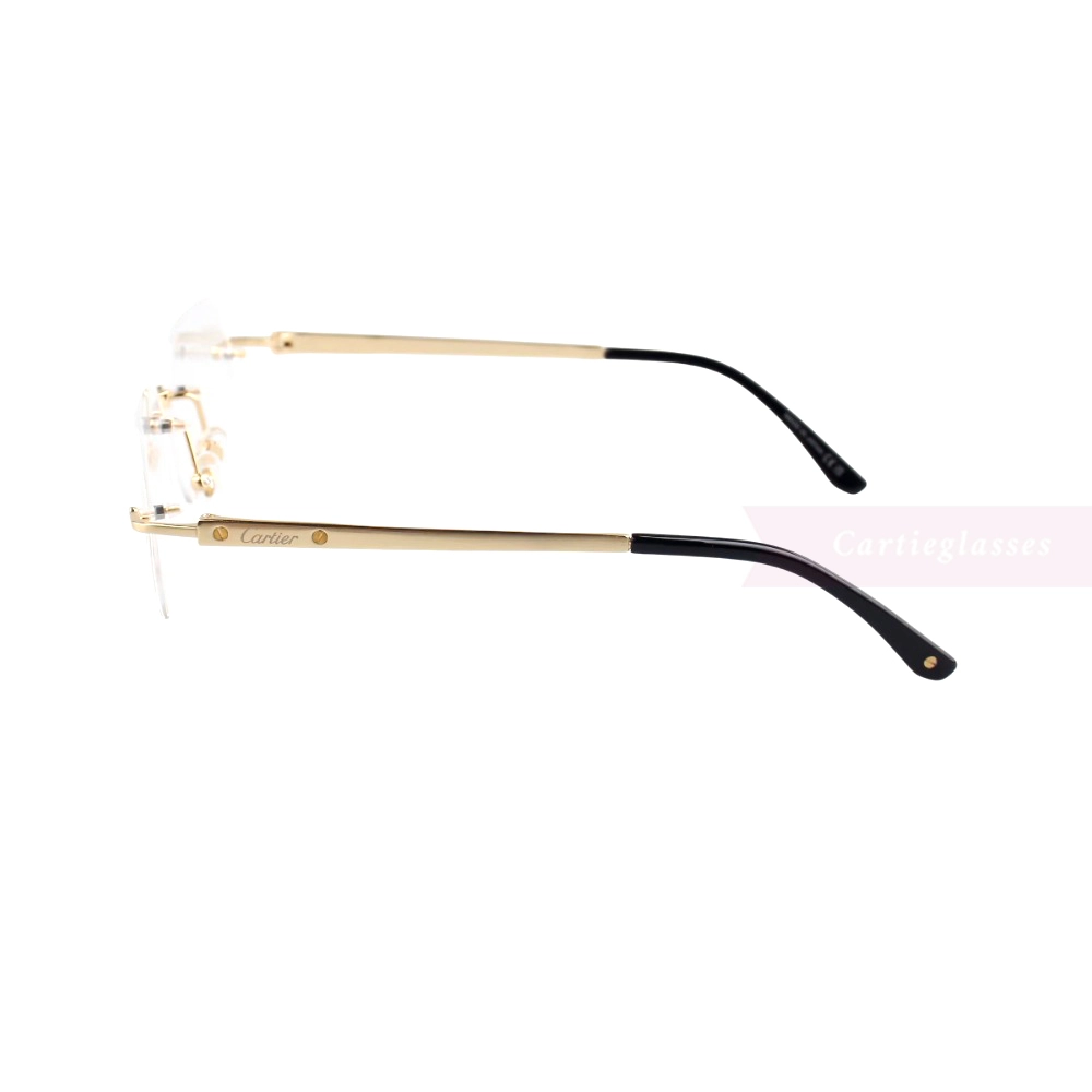Cartier Santos De Wide Rectangle Titanium Rimless Eyeglasses CT0407O (8)