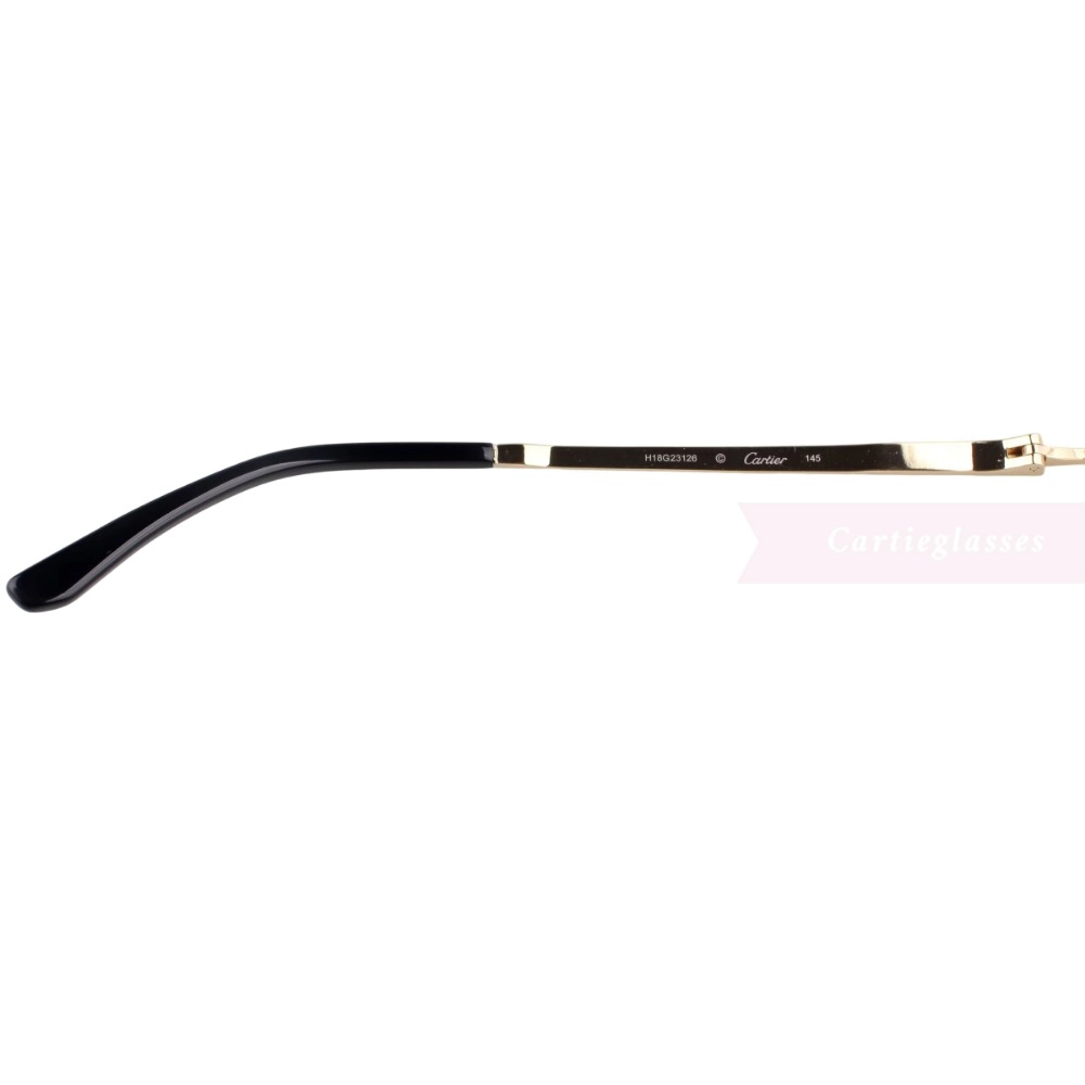 Cartier Santos De Wide Rectangle Titanium Rimless Eyeglasses CT0408O (6)