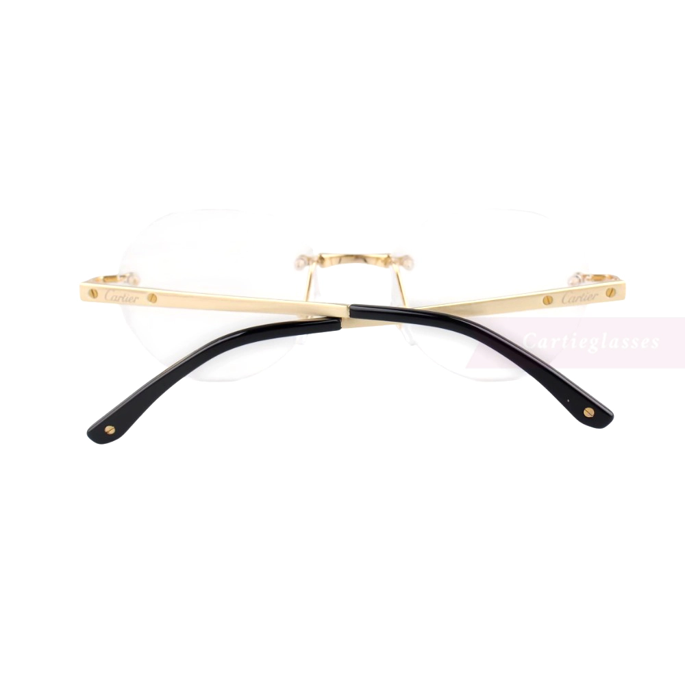 Cartier Santos De Wide Rectangle Titanium Rimless Eyeglasses CT0408O (8)
