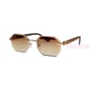 Cartier C Decor Cut Lenses Rimless Sunglasses CT0439S (1)